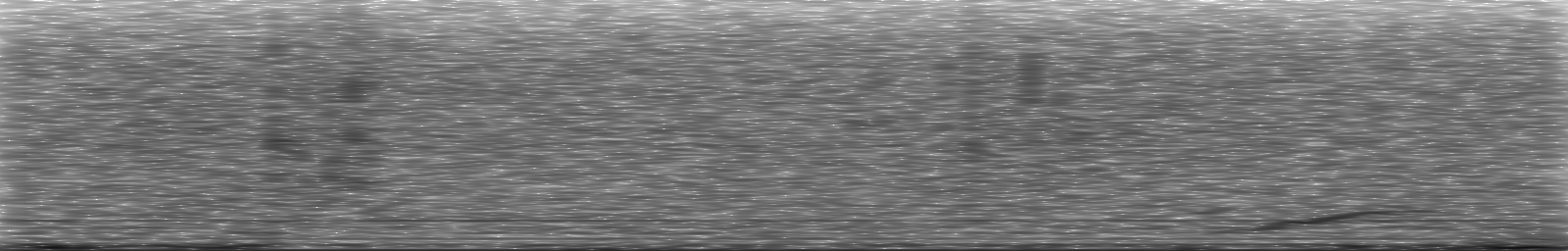 [Loading Spectrogram]