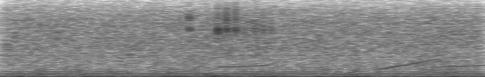 [Loading Spectrogram]