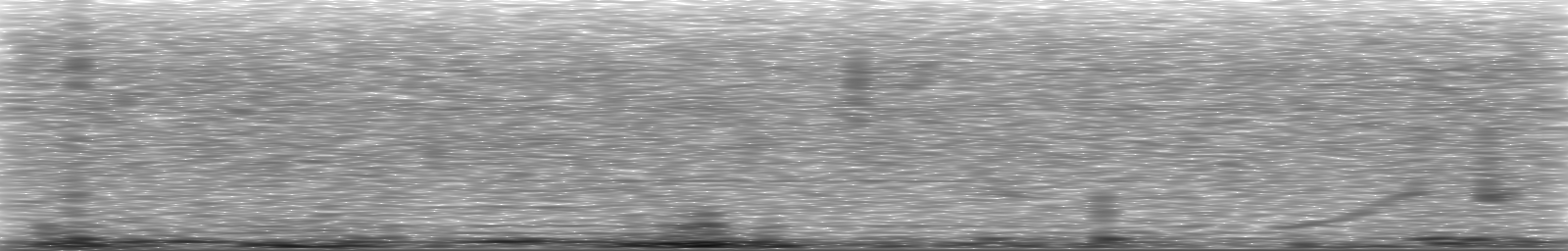 [Loading Spectrogram]