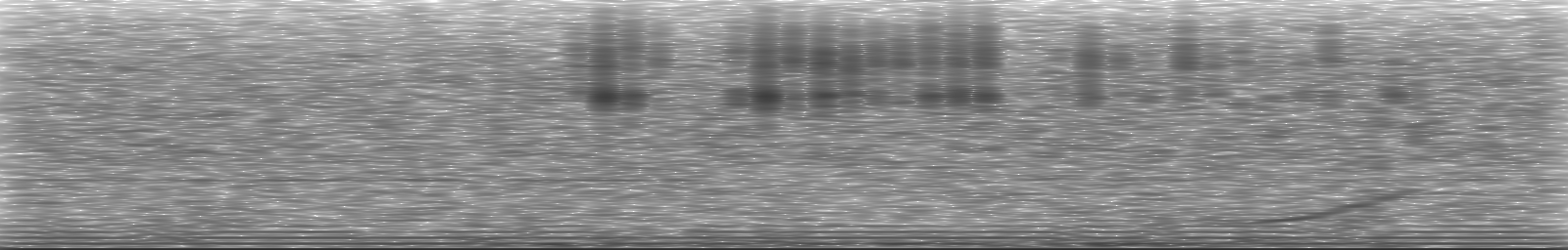 [Loading Spectrogram]