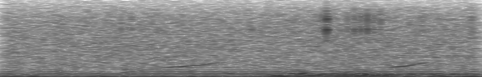 [Loading Spectrogram]