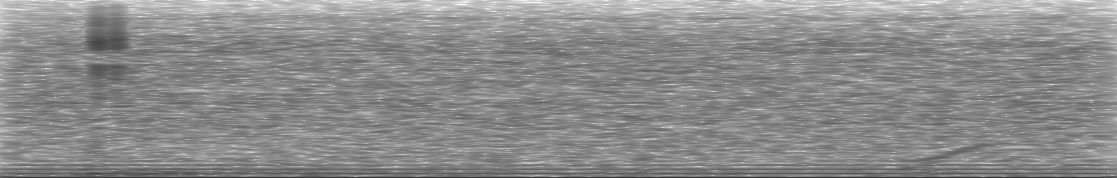 [Loading Spectrogram]