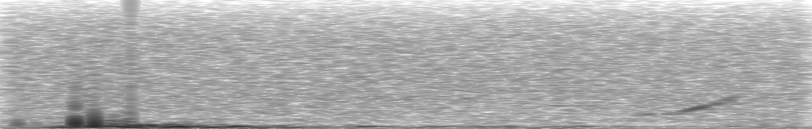 [Loading Spectrogram]