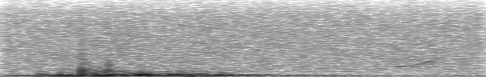 [Loading Spectrogram]