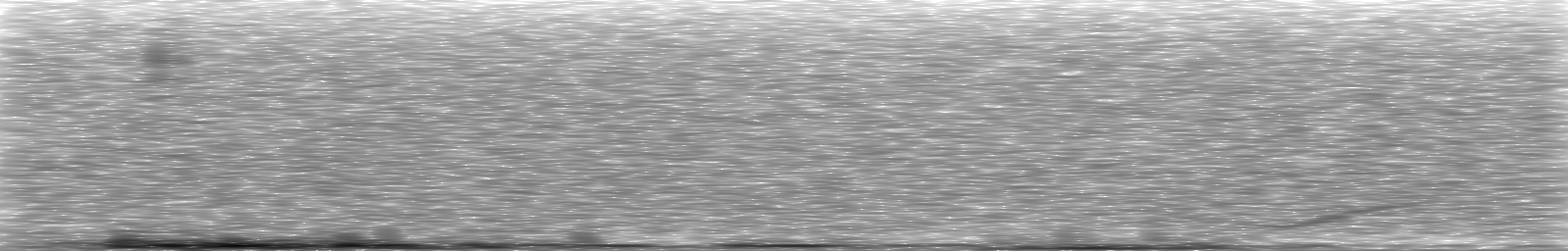 [Loading Spectrogram]
