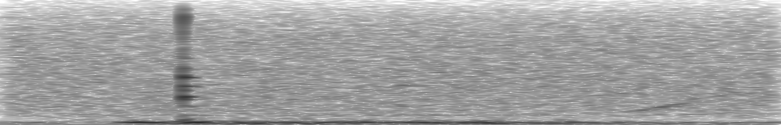 [Loading Spectrogram]