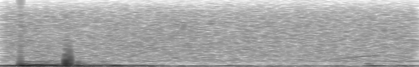 [Loading Spectrogram]