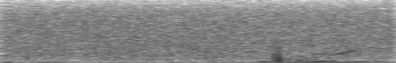[Loading Spectrogram]
