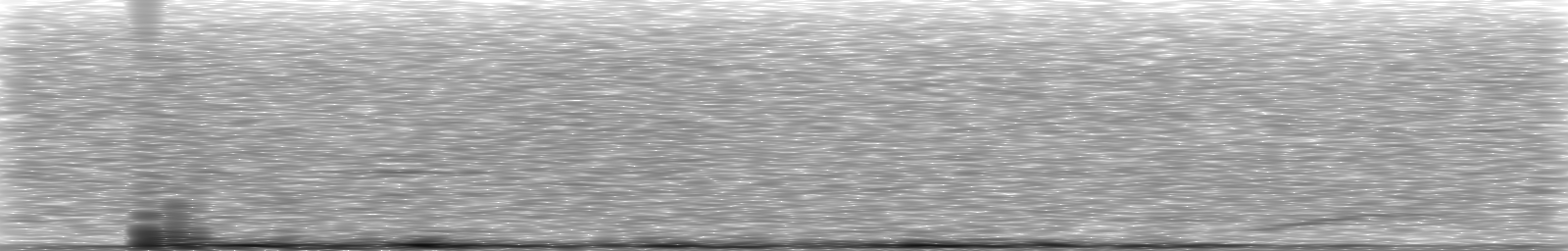 [Loading Spectrogram]