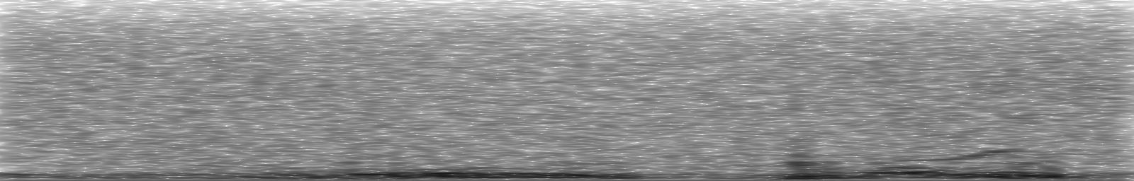 [Loading Spectrogram]