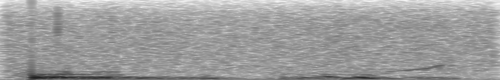 [Loading Spectrogram]