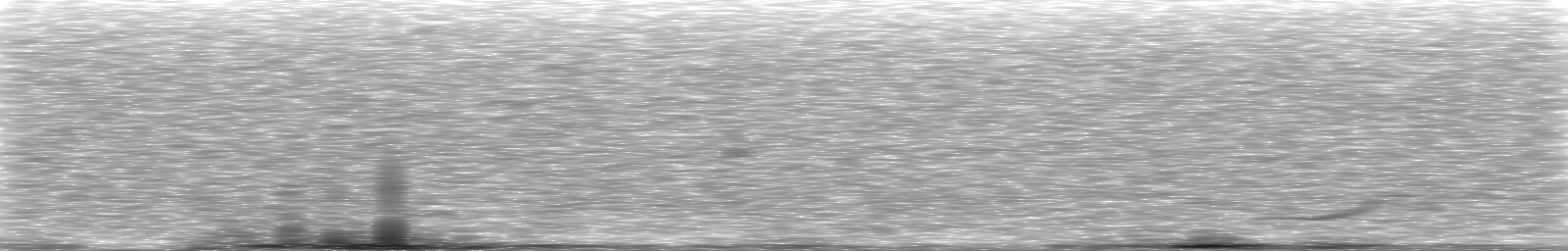 [Loading Spectrogram]