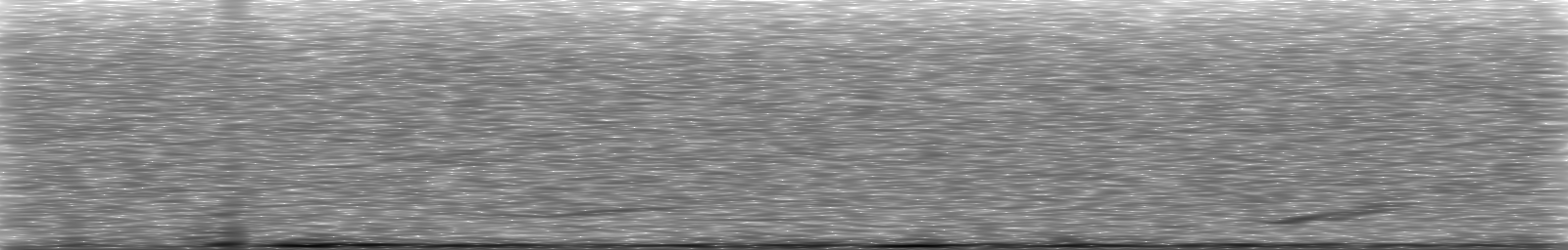 [Loading Spectrogram]