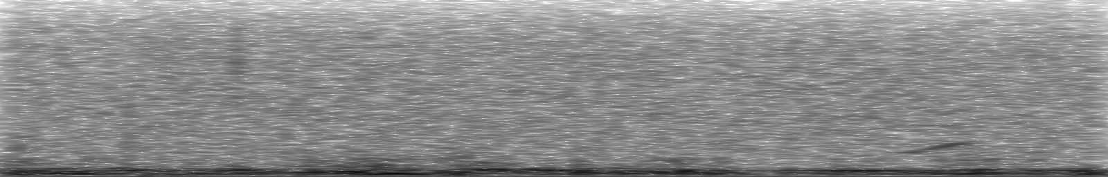 [Loading Spectrogram]
