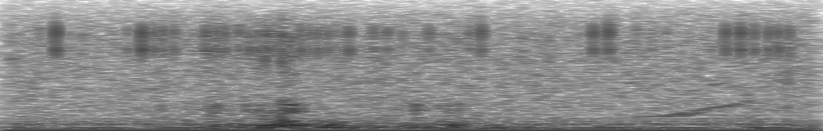 [Loading Spectrogram]