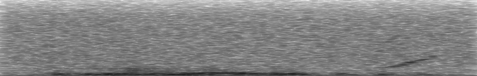 [Loading Spectrogram]