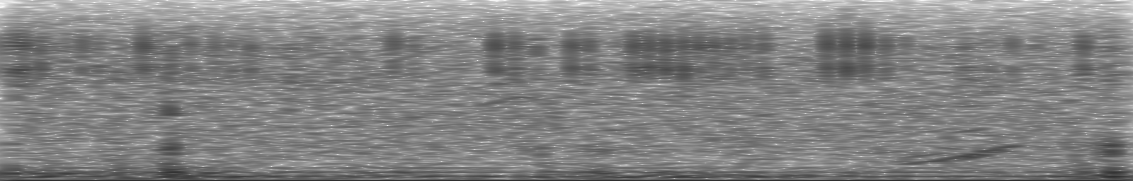 [Loading Spectrogram]