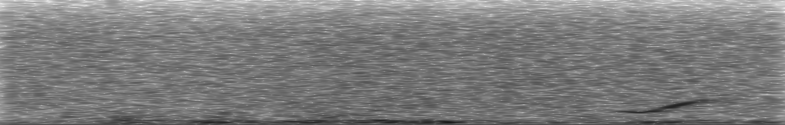 [Loading Spectrogram]