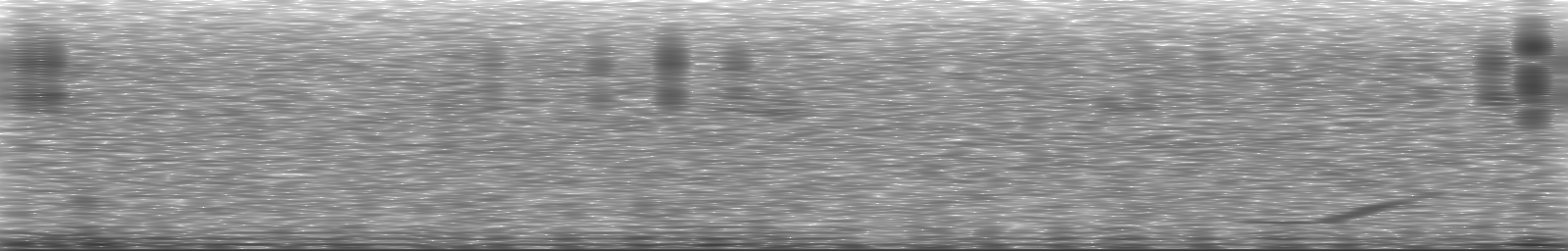 [Loading Spectrogram]