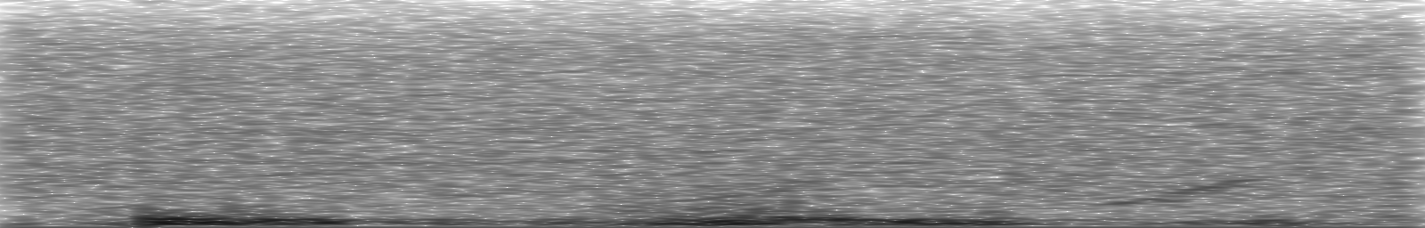 [Loading Spectrogram]