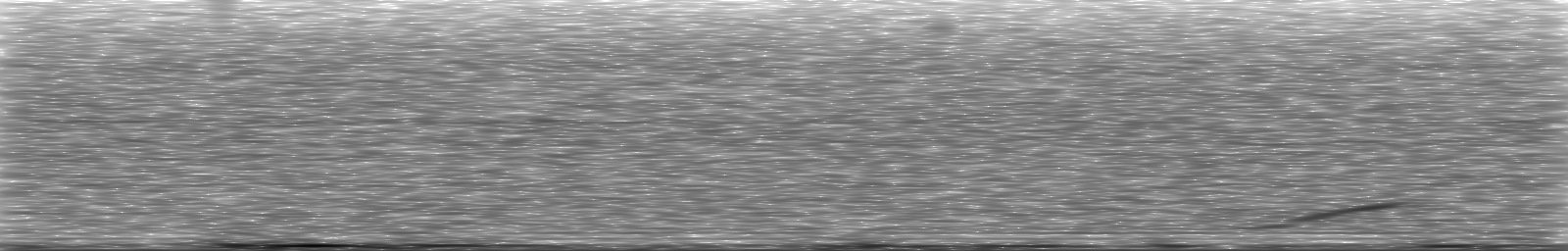 [Loading Spectrogram]