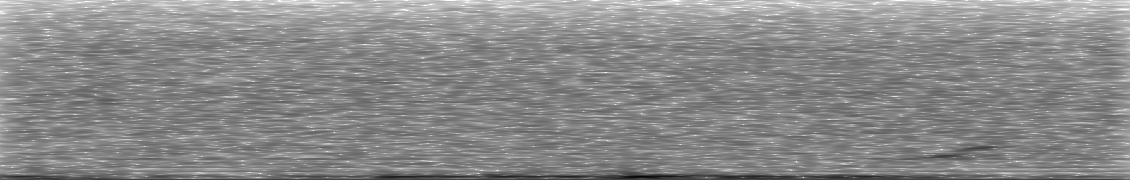 [Loading Spectrogram]