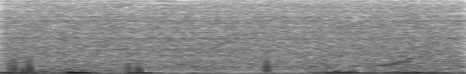 [Loading Spectrogram]