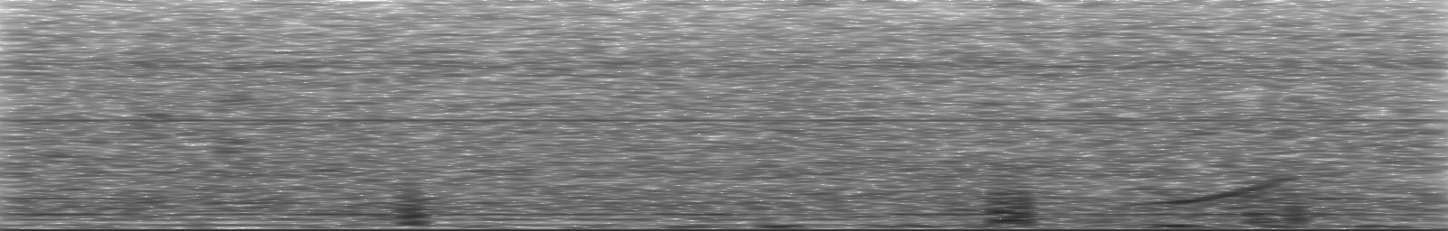 [Loading Spectrogram]