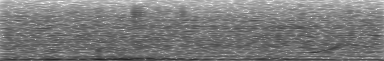[Loading Spectrogram]