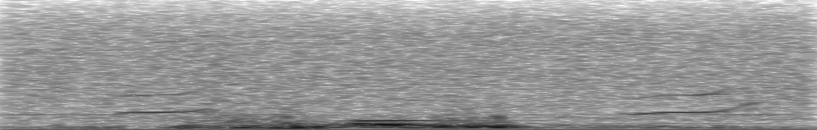 [Loading Spectrogram]