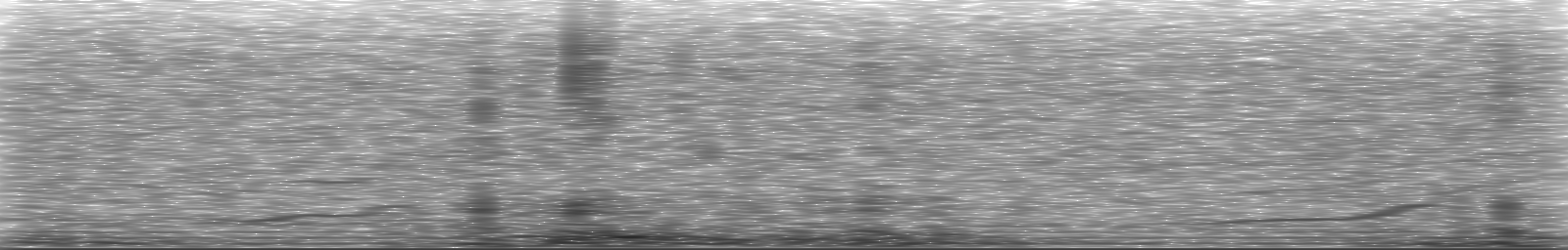 [Loading Spectrogram]