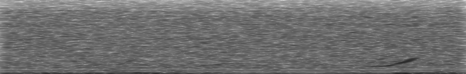 [Loading Spectrogram]