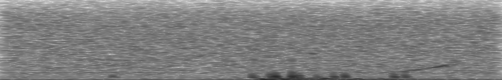 [Loading Spectrogram]