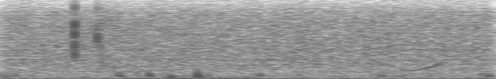[Loading Spectrogram]