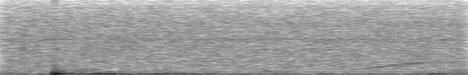 [Loading Spectrogram]