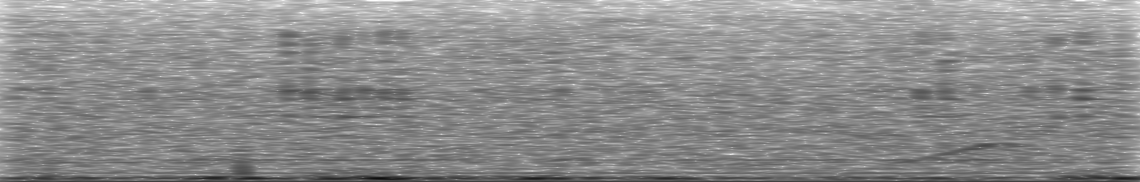[Loading Spectrogram]
