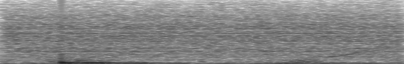 [Loading Spectrogram]