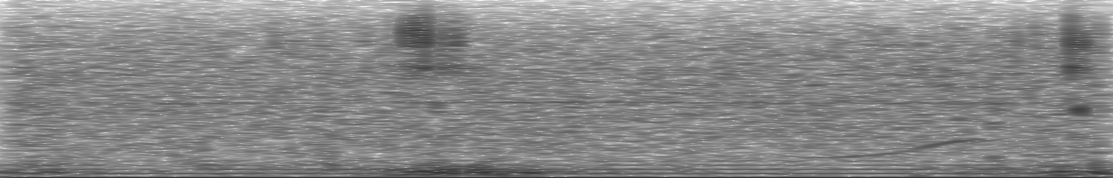 [Loading Spectrogram]