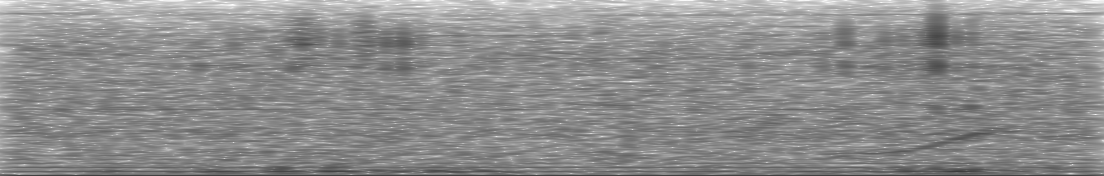[Loading Spectrogram]