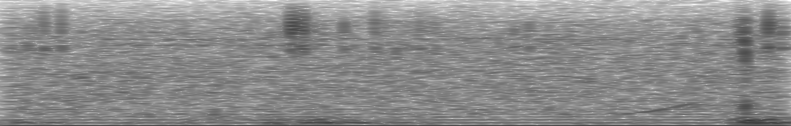 [Loading Spectrogram]