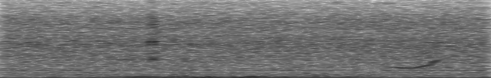 [Loading Spectrogram]