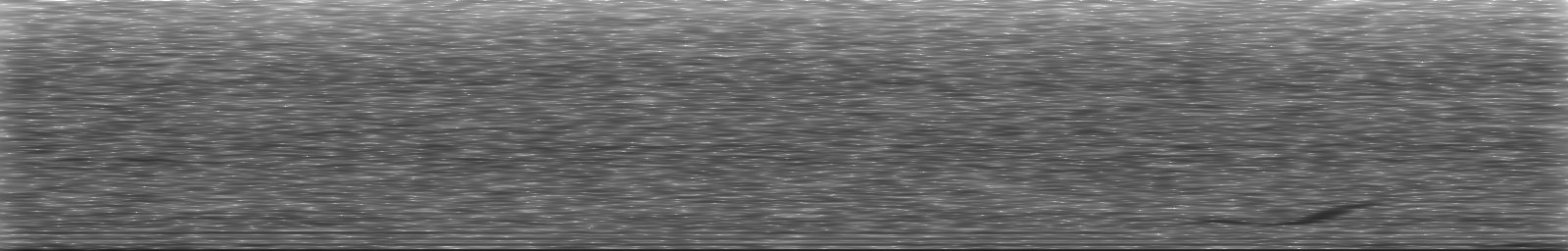 [Loading Spectrogram]