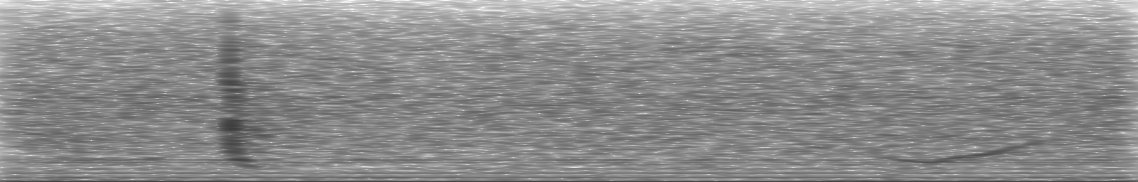 [Loading Spectrogram]