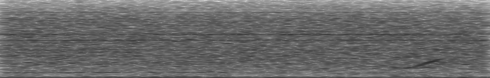 [Loading Spectrogram]