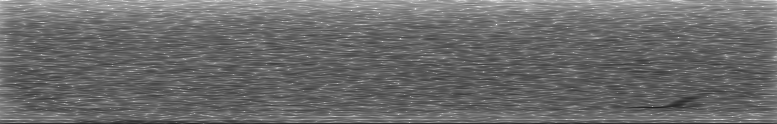 [Loading Spectrogram]