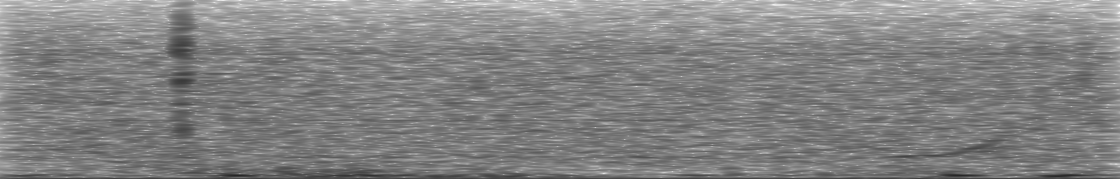 [Loading Spectrogram]