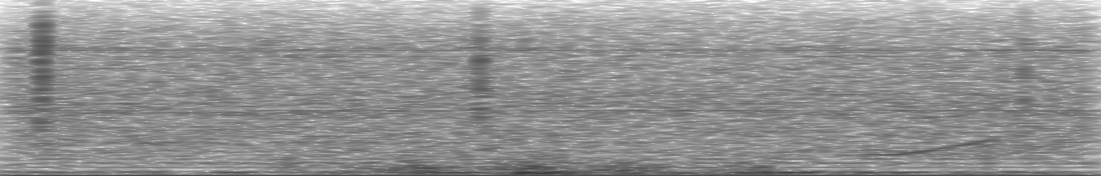 [Loading Spectrogram]
