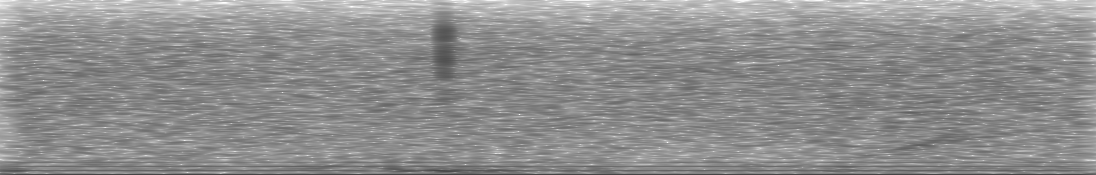 [Loading Spectrogram]