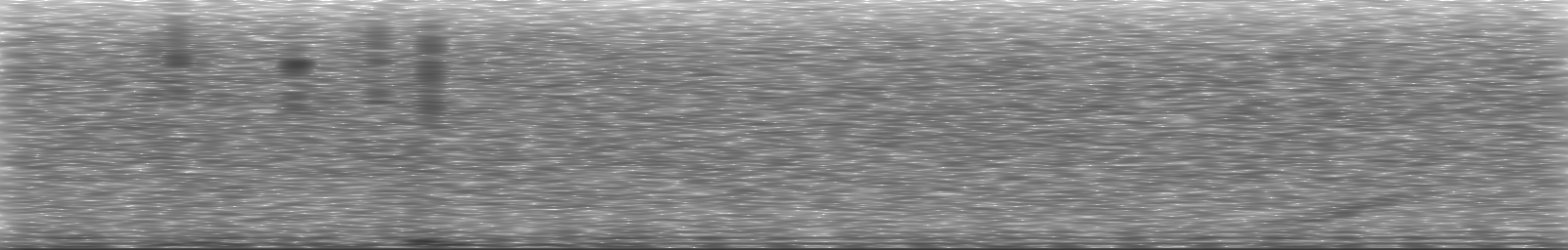 [Loading Spectrogram]