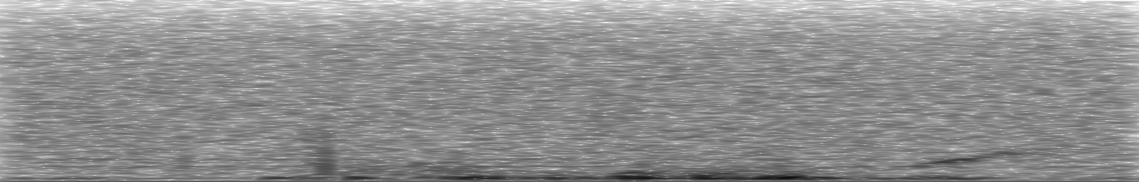 [Loading Spectrogram]
